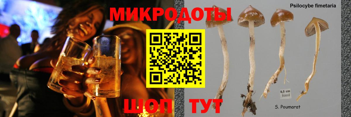 Псилоцибиновые грибы мицелий Мурино