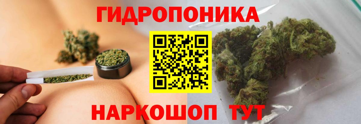 Мурино  Конопля гибрид  МАРИХУАНА THC 21%  Вход с VPN  Марихуана MAZAR 